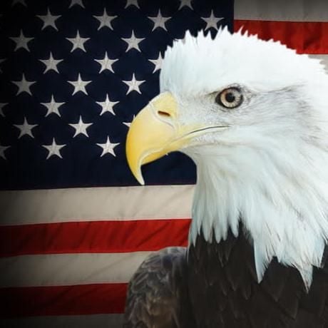 American Eagle Properties, inc.