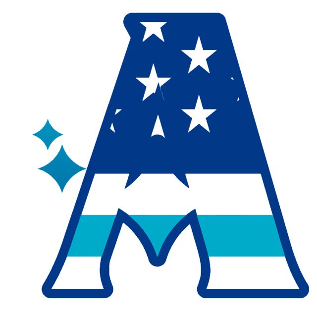 American Janitorial Services