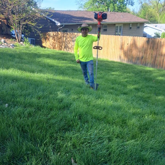 Angel lawn services
