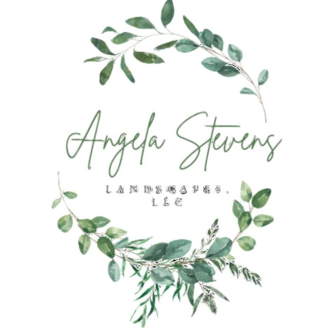 Angela Stevens Landscapes