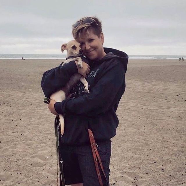 Annes TLC Dog Walking (Pet Care)