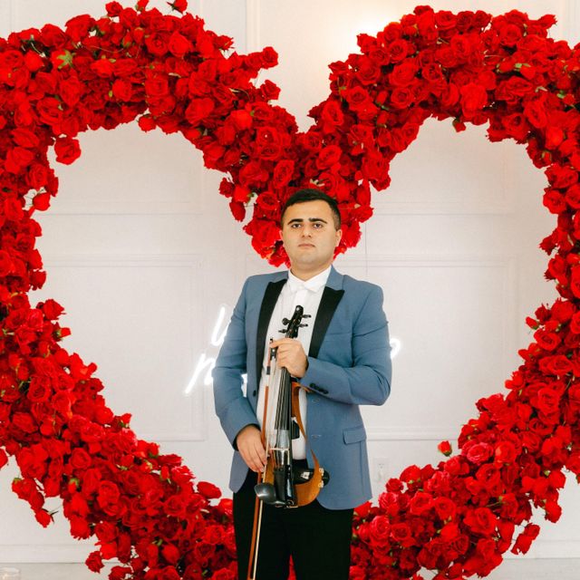 Ansar Violin