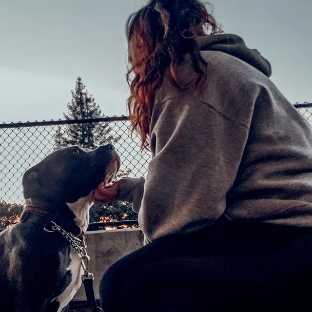 Anything's Pawsible Dog Training