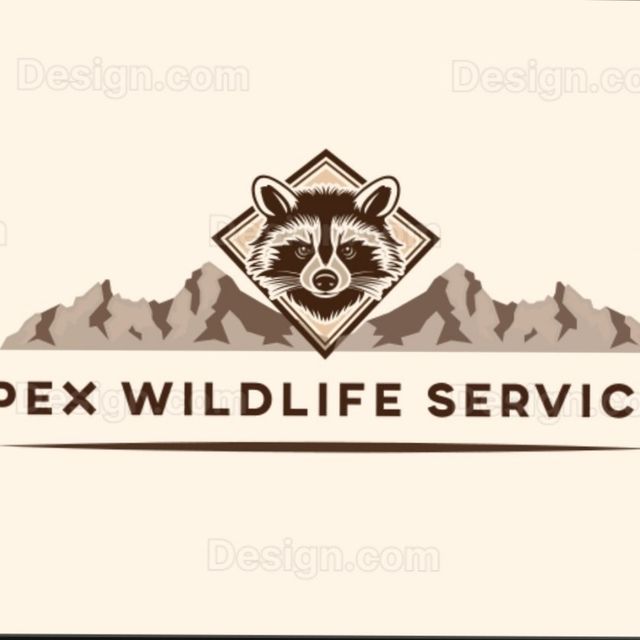 Apex Wildlife Services