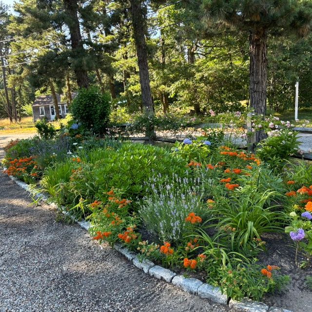 ApisBloom landscape Gardening llc