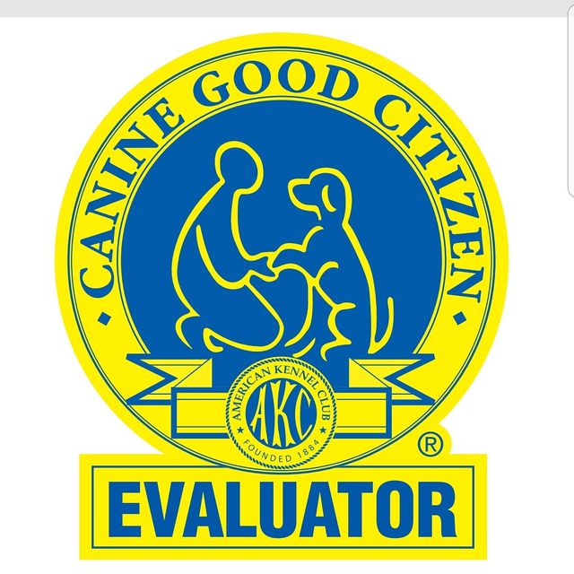 Ariana's. Elite Paws Dog Training LLC.