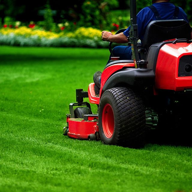 Armadillo Lawn Care & Services