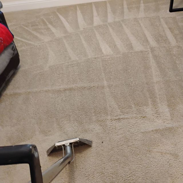 Authentic cleaning services