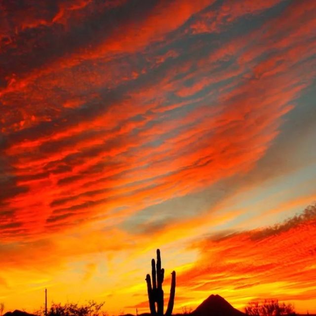AZ Red Sun Landscape LLC