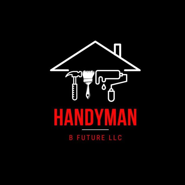 B FUTURE LLC