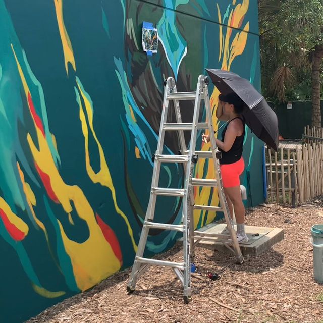 Bana Paints