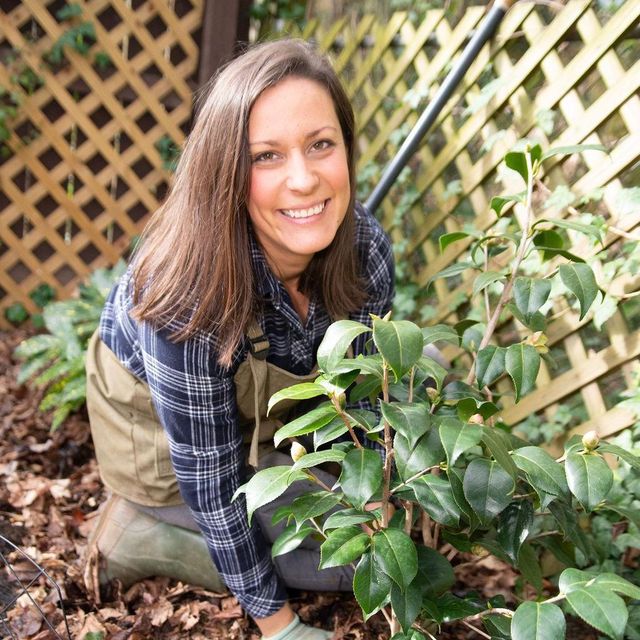 Barefoot Garden Design