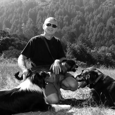 Bay Dog Behavior Training