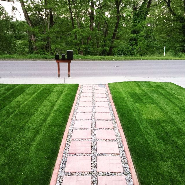 Beltran landscaping