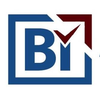 BI AUDITING