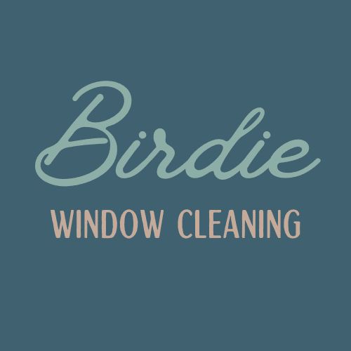 Birdie Window Cleaning