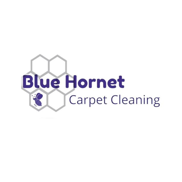Blue Hornet Carpet Cleaning