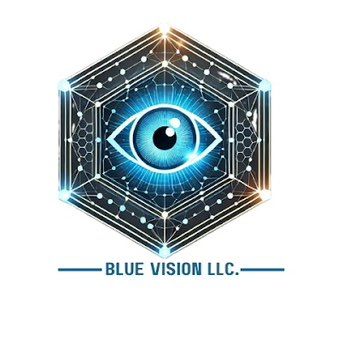 Blue Vision LLC