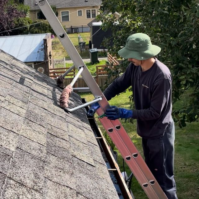 BonsaiRoofCleaningLLC