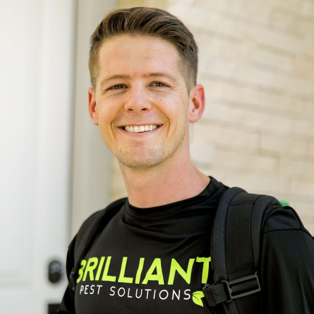 Brilliant Pest Solutions