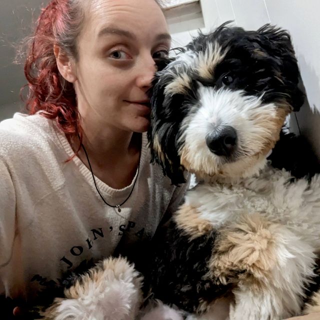 Brittany's Boarding & Training