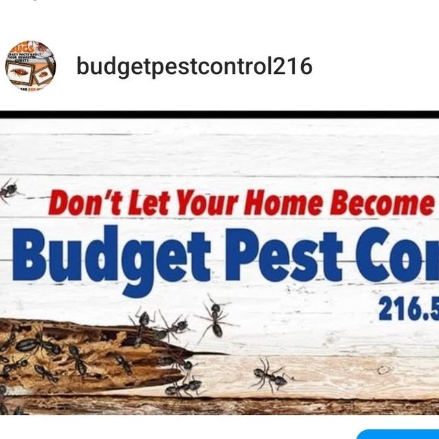 Budget Pest Control