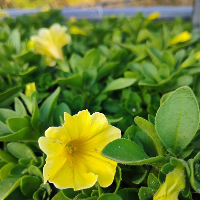 C3 Landscape & Design Llc