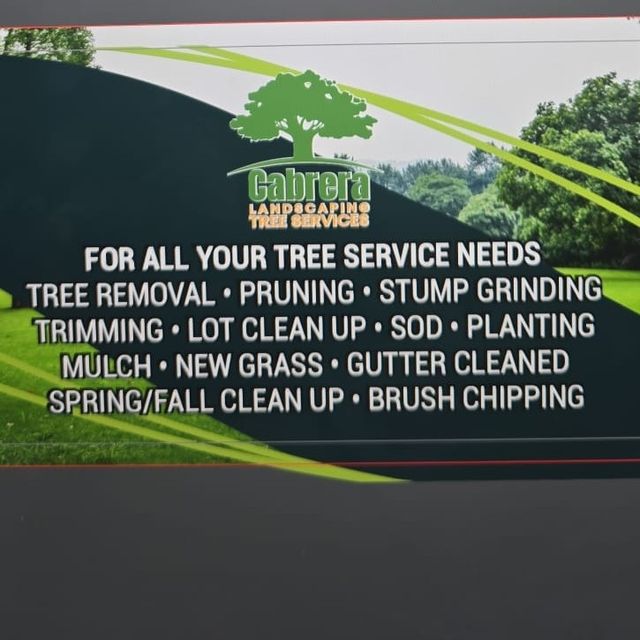 Cabrera tree services LLC