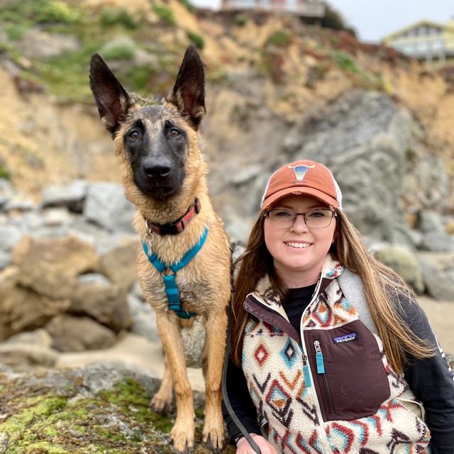 Canine Concierge Training, LLC