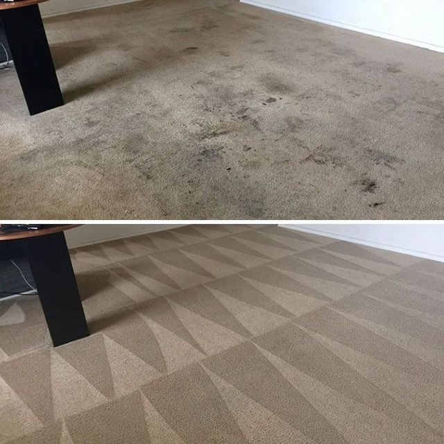 Carpet cleaning organic ♻️