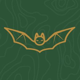 Castle Wildlife Extraction & Prevention