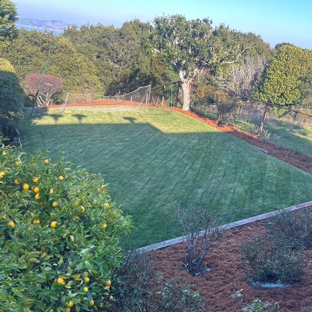 CIFUENTES Landscaping