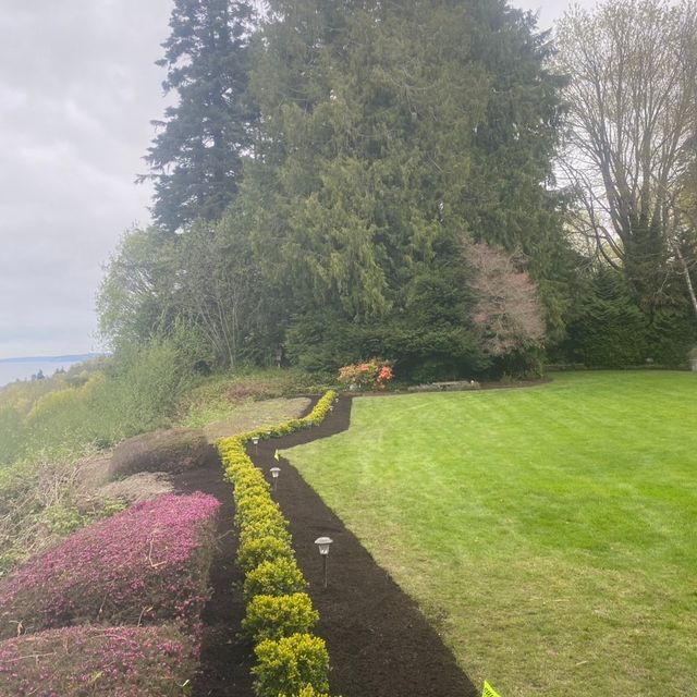Clean Green Landscaping Services