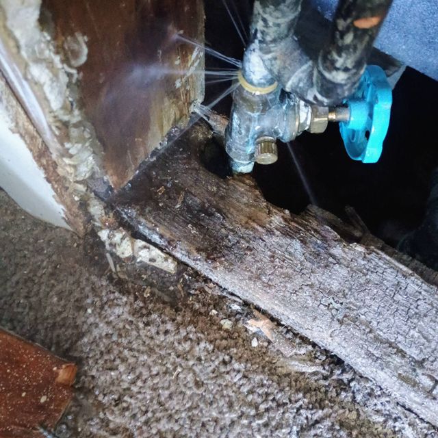 Cleveland Maintenance Guy