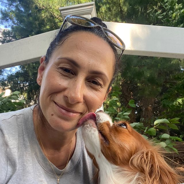 A Click Away Pet Sitting
