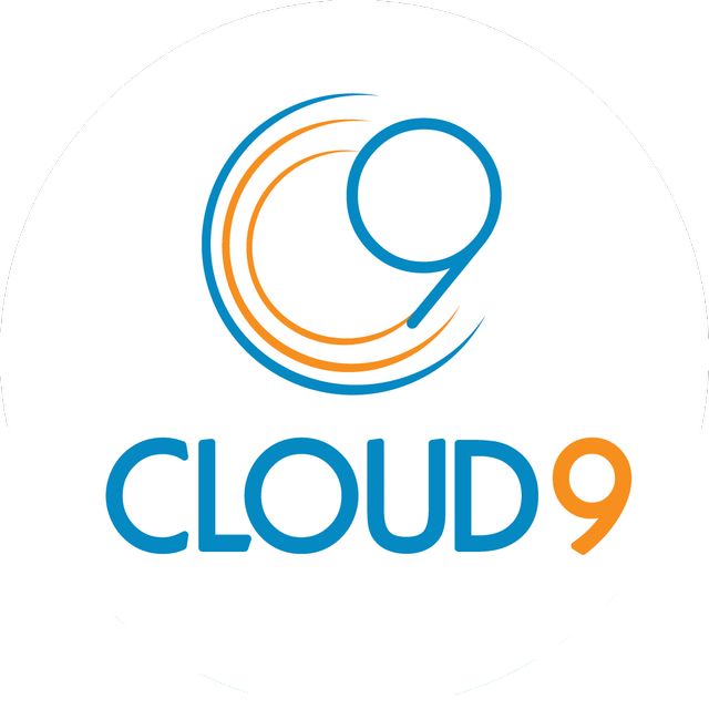 Cloud 9 Professional Cleaning Services