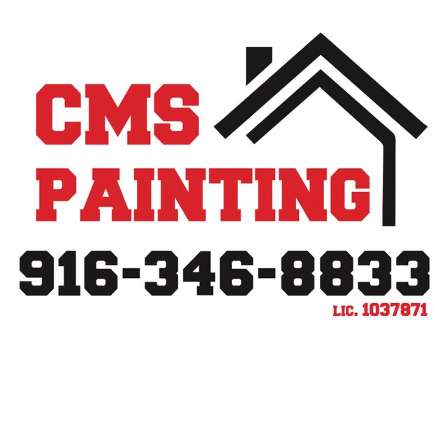 CMS Painting
