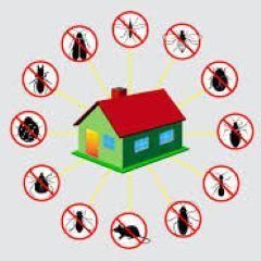 Complete Pest Control Services
