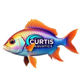 Curtis Aquatics Aquarium Maintenance