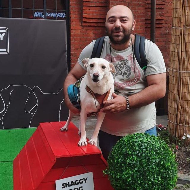 David Dogwalker