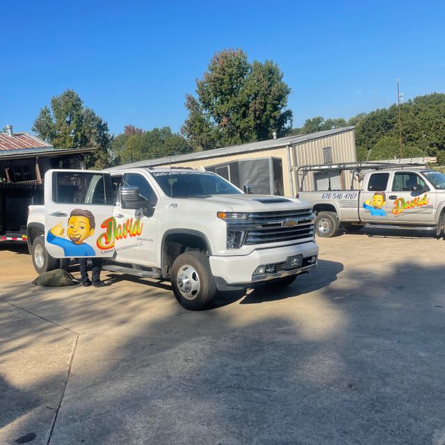 DAVID LAWN CARE AND MAINTENANCE LLC