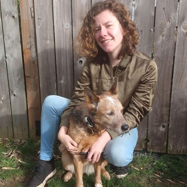 Dedication Dog Training