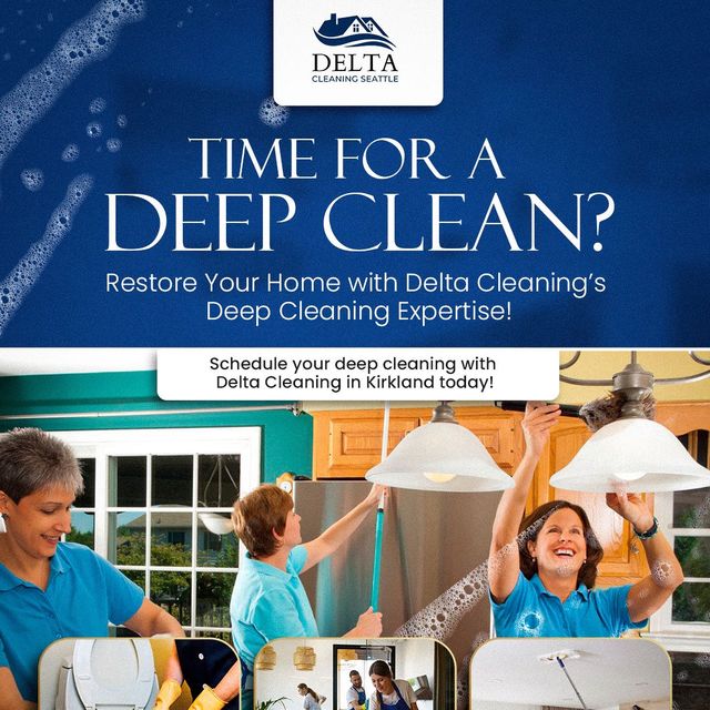 DELTA CLEANING LLC ??