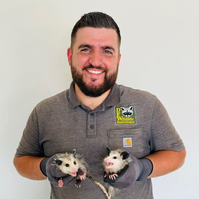 DFW Wildlife Solutions, LLC