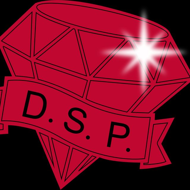 DIAMOND SOUND PRODUCTION LLC