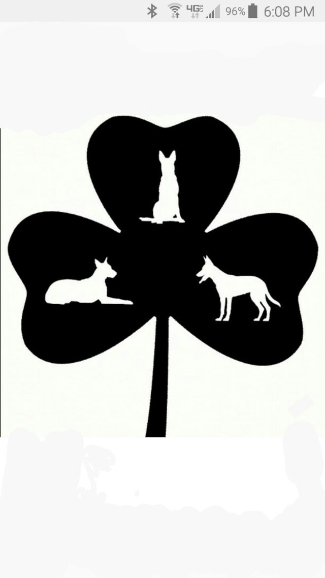 Dilis Dog Academy