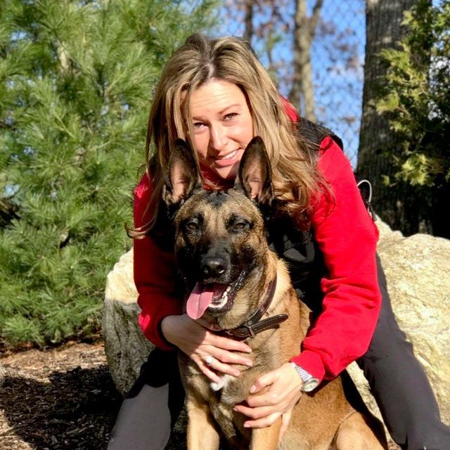 Dogsports4u Academy