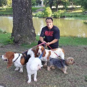 Double D Dog Training