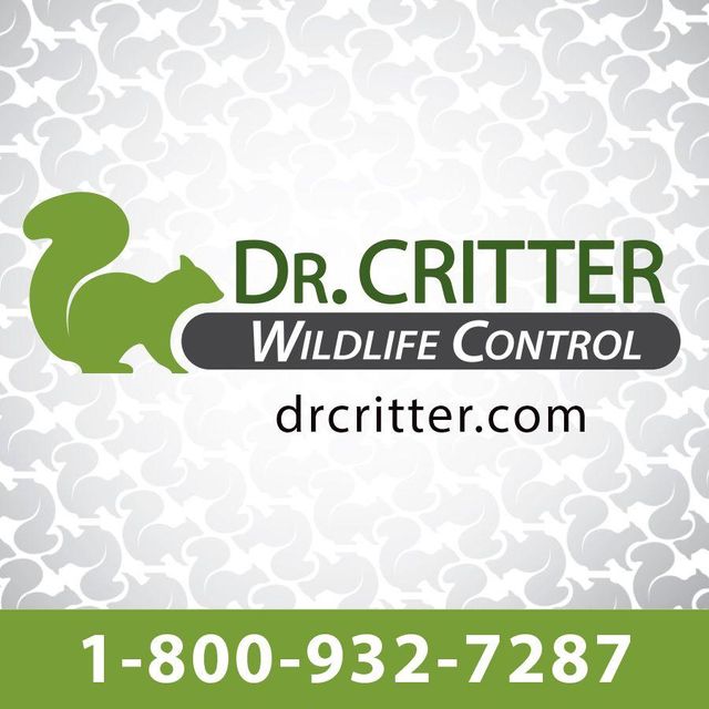 Dr. Critter Wildlife Control