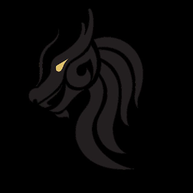Dragon Security LLC